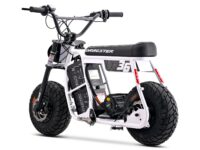 d60rwhite-3_1.jpg