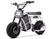 d60rwhite-5_1.jpg