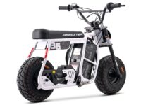 d60rwhite-6_1.jpg